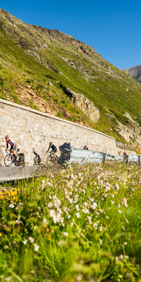 Forcola di Livigno.